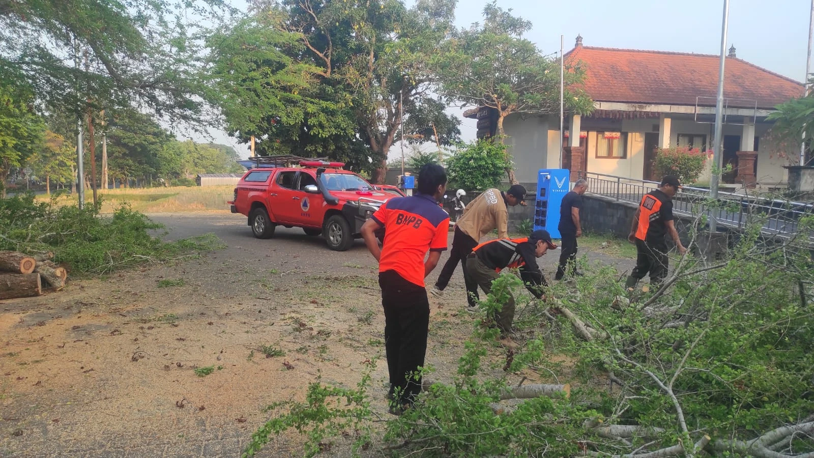 Pohon Asem Keranji Tumbang di Jalan Jenderal Sudirman, Kelurahan Dauhwaru